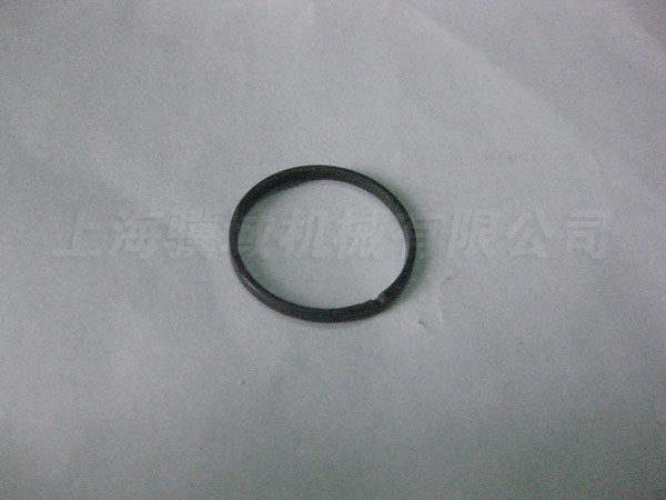 16866.0217.2-0  RING