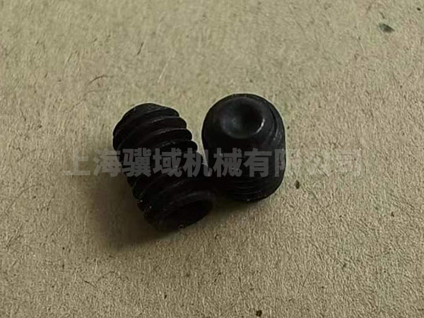 R21128004006 Screw